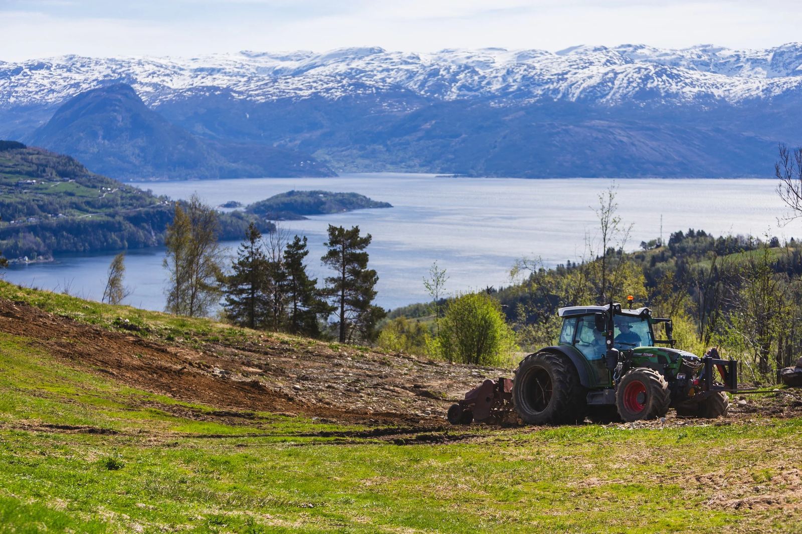 Traktor på slåtteteig over Hardangerfjorden